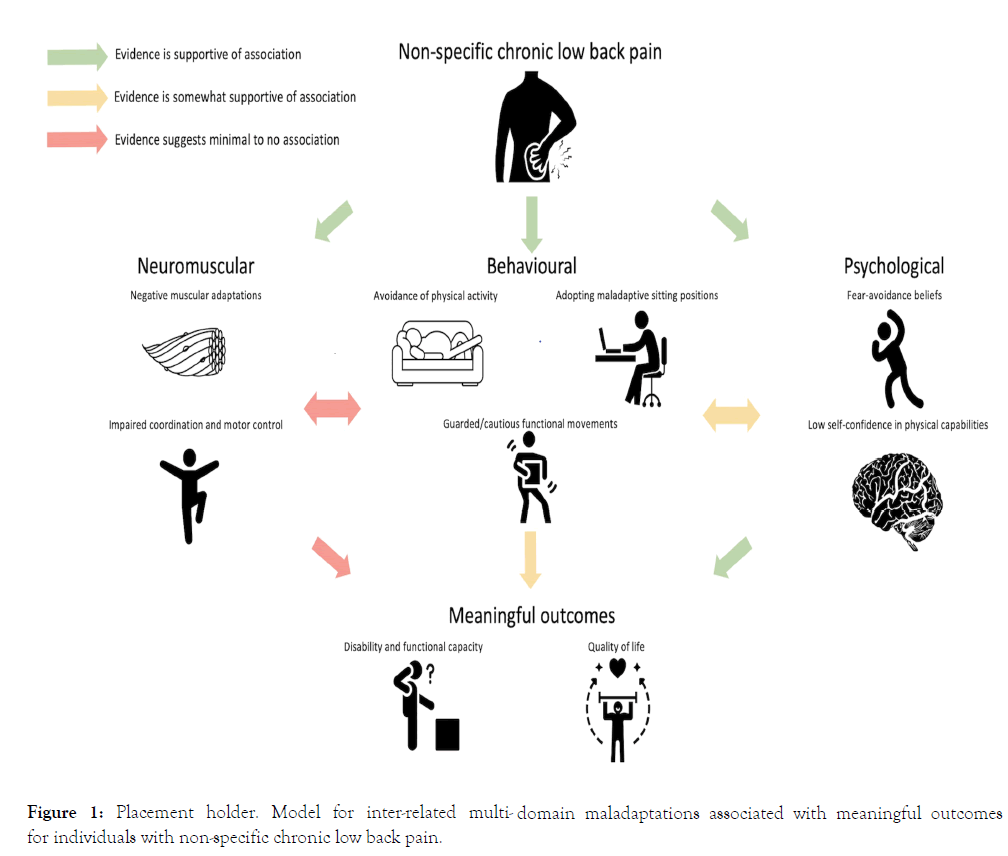 physical-medicine-maladaptations