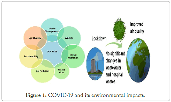 poultry-fisheries-COVID