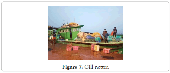 poultry-fisheries-Gill