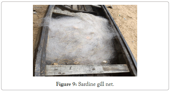 poultry-fisheries-Sardine