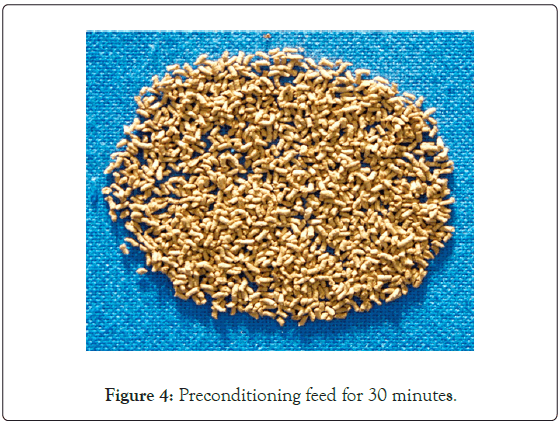 poultry-fisheries-minutes