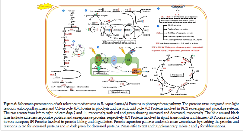 proteomics-bioinformatics-Proteins