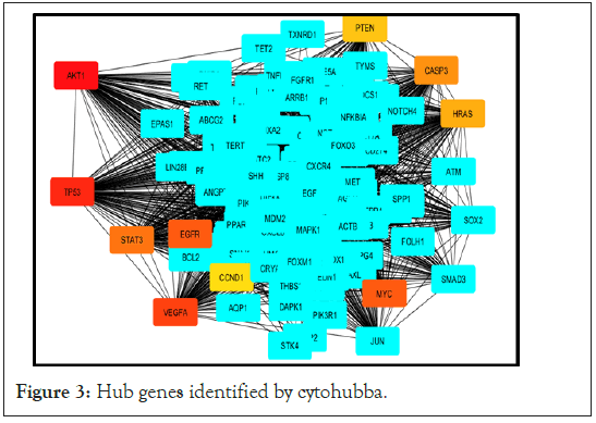 cytohubba