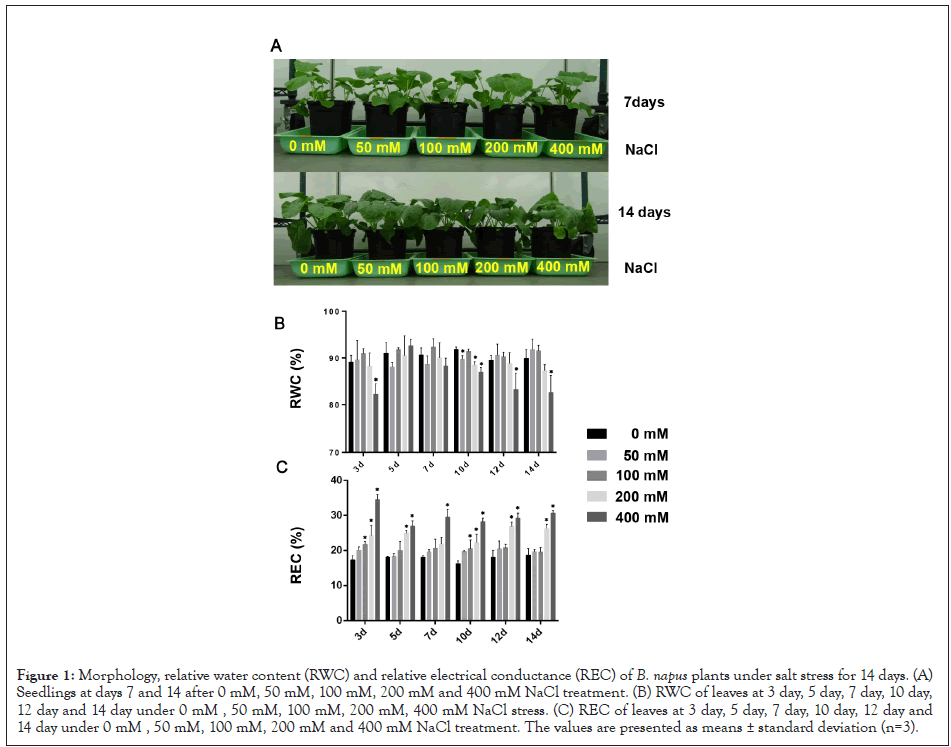 proteomics-bioinformatics-electrical-conductance