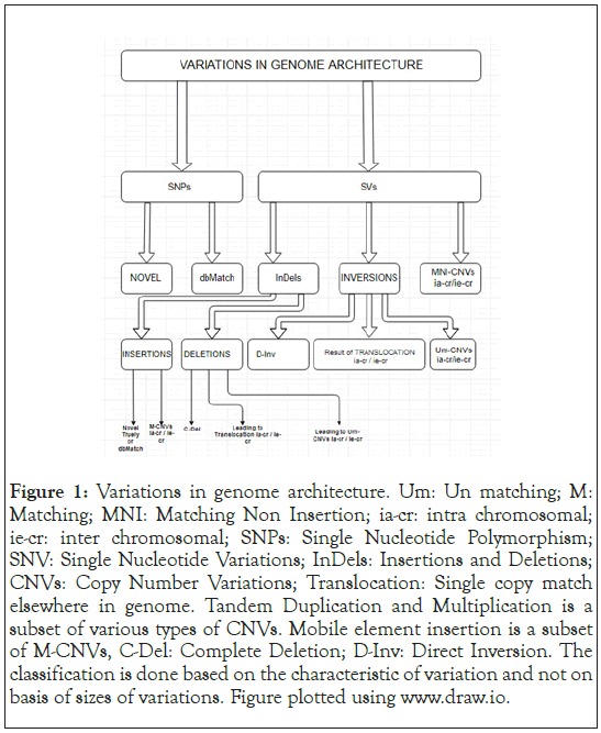 genome