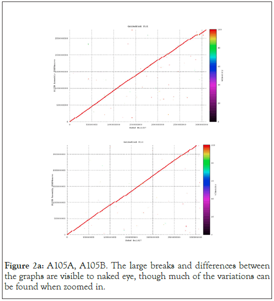 graphs