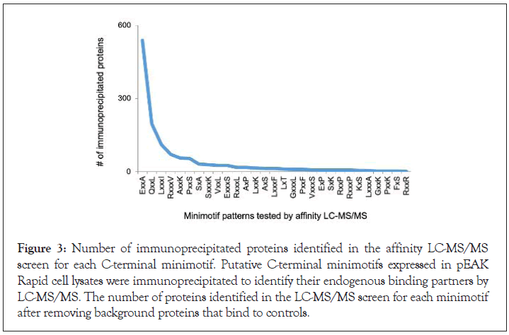 immunoprecipitated