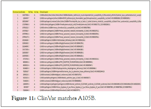 matches