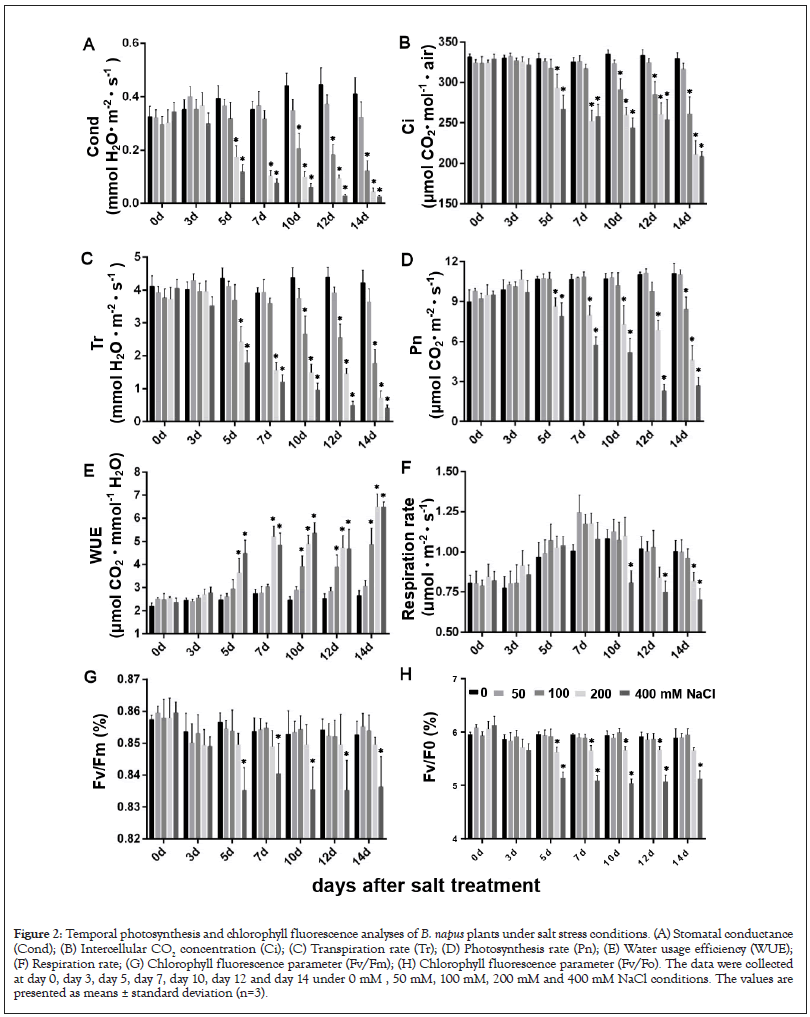 proteomics-bioinformatics-photosynthesis