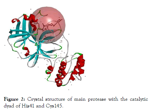 protease