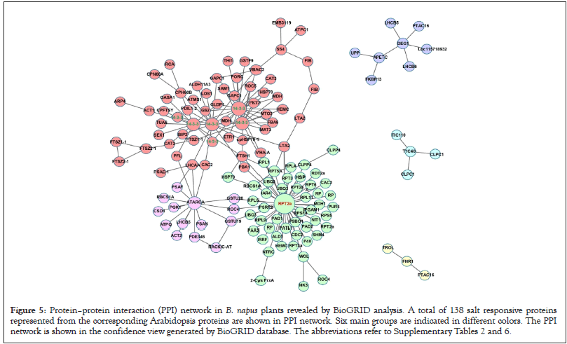 proteomics-bioinformatics-protein-interaction