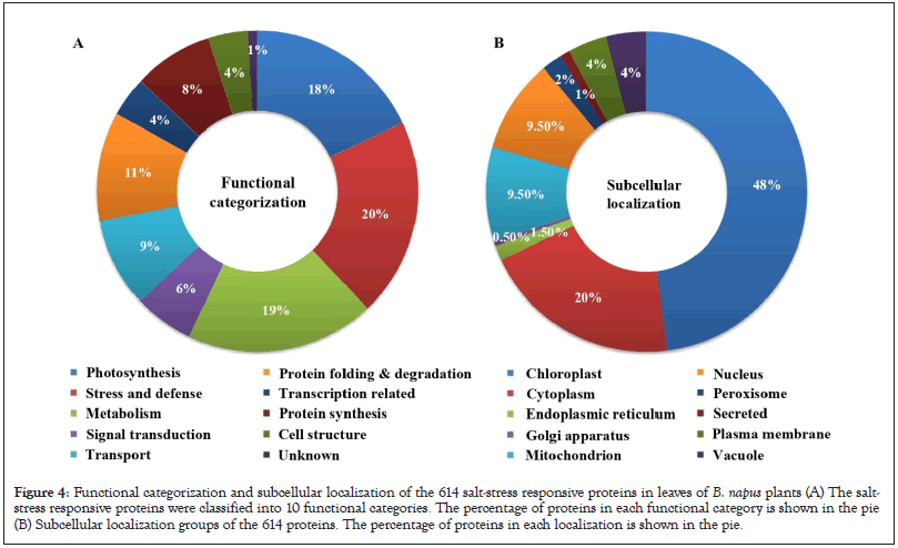 proteomics-bioinformatics-subcellular-localization