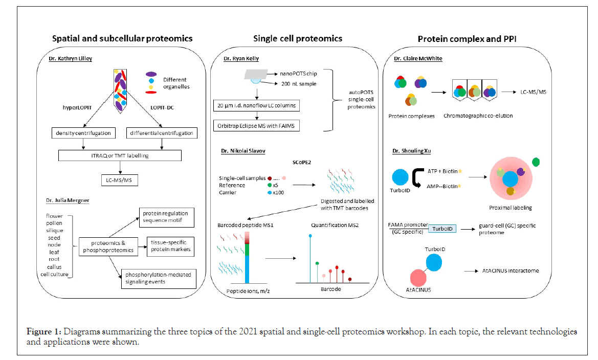 proteomics-summarizing