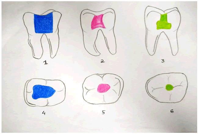 research-medical-dental-science