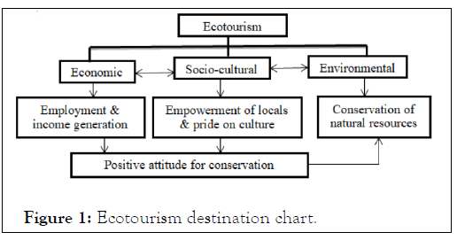 tourism-Ecotourism