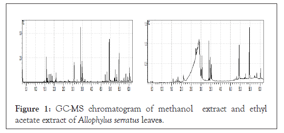 toxicology-chromatogram