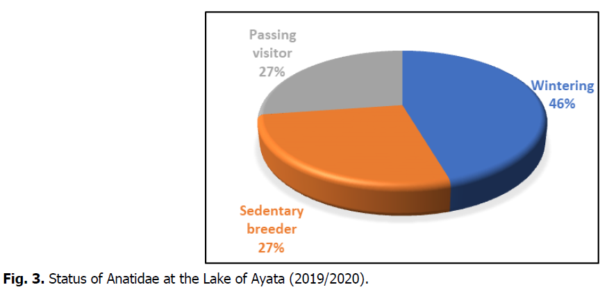 ukrainian-journal-ecology-anatidae