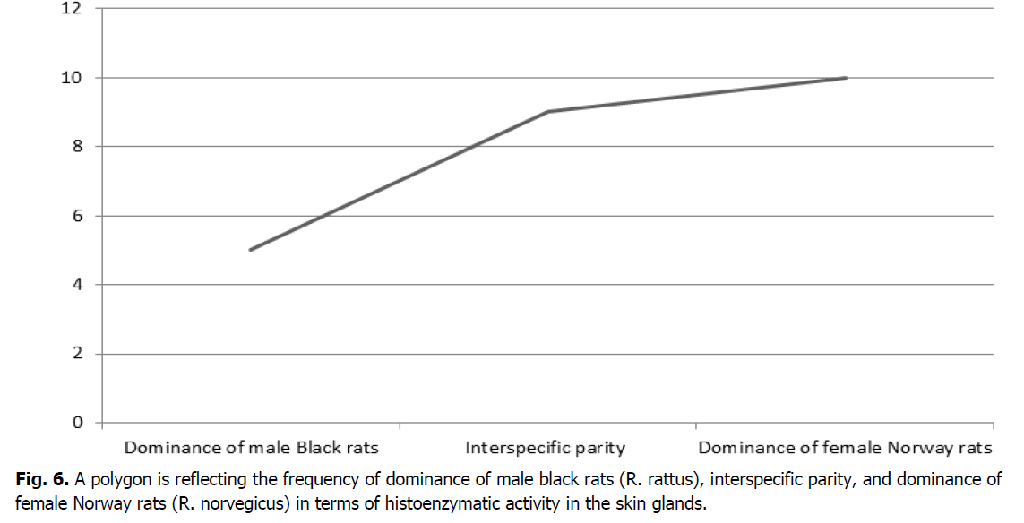 ukrainian-journal-ecology-black-rats