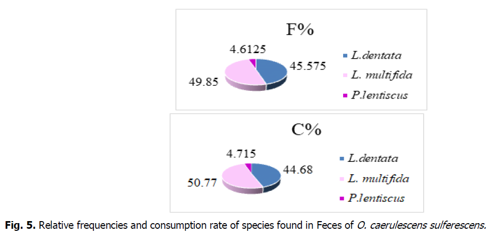 ukrainian-journal-ecology-caerulescens-sulferescens