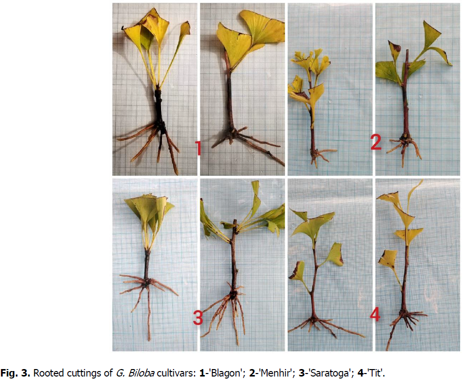 ukrainian-journal-ecology-cultivars