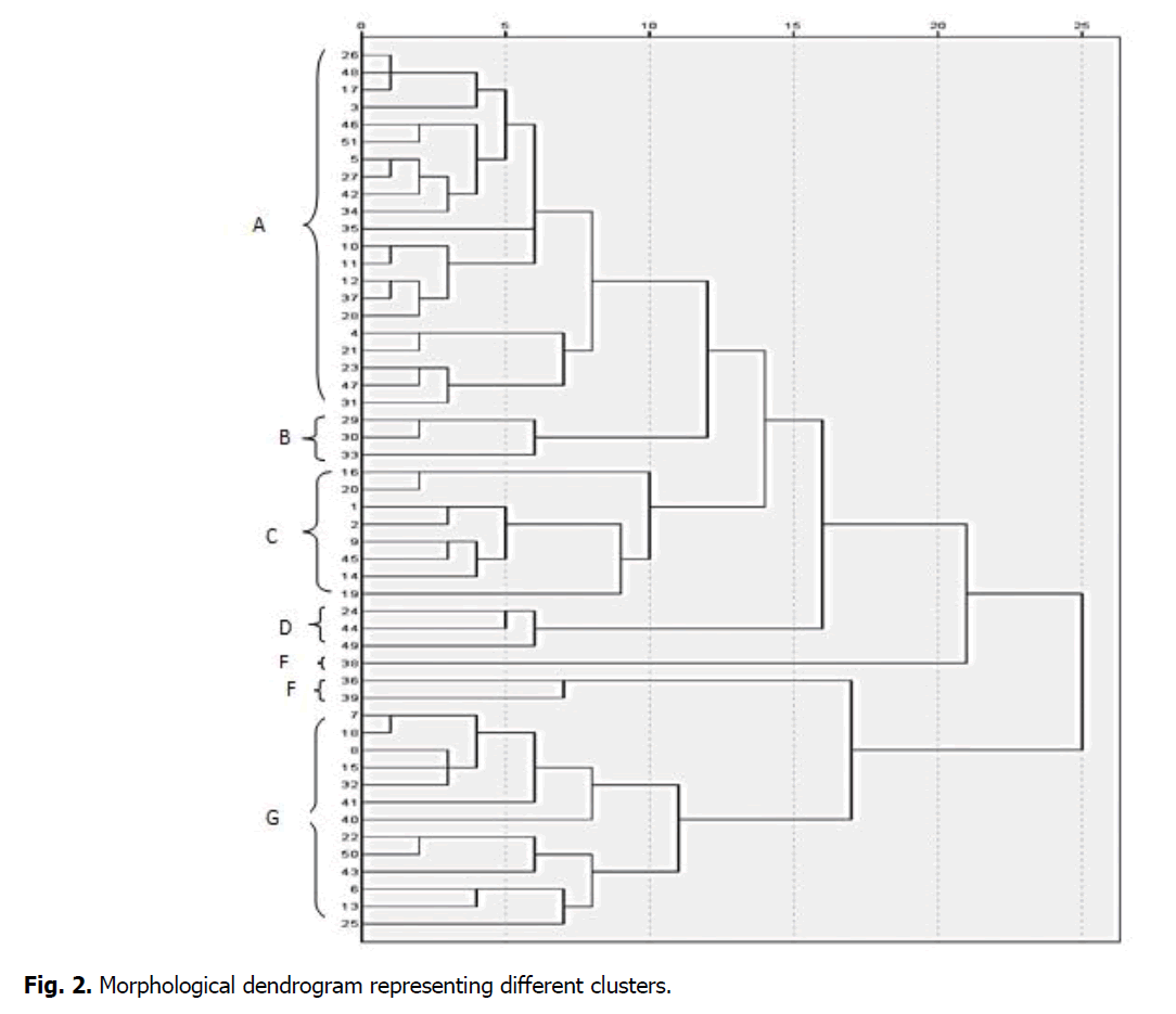 ukrainian-journal-ecology-dendrogram