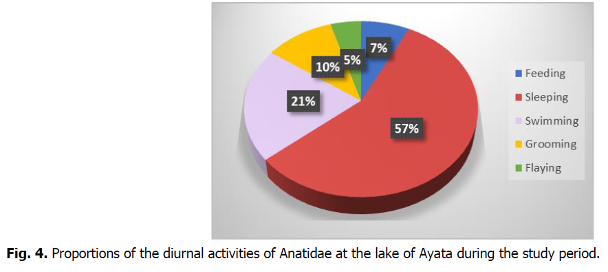 ukrainian-journal-ecology-diurnal-activities