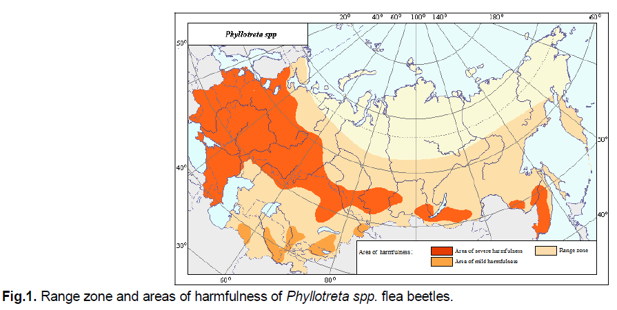ukrainian-journal-ecology-flea-beetles
