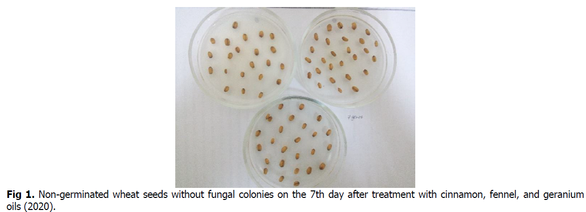 ukrainian-journal-ecology-fungal-colonies