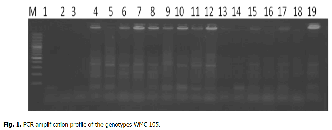 ukrainian-journal-ecology-genotypes