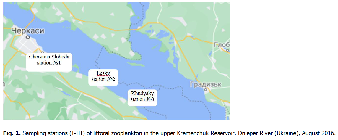 ukrainian-journal-ecology-littoral-zooplankton