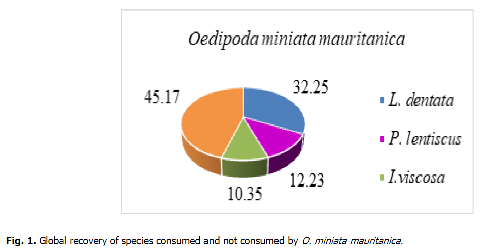 ukrainian-journal-ecology-miniata-mauritanica