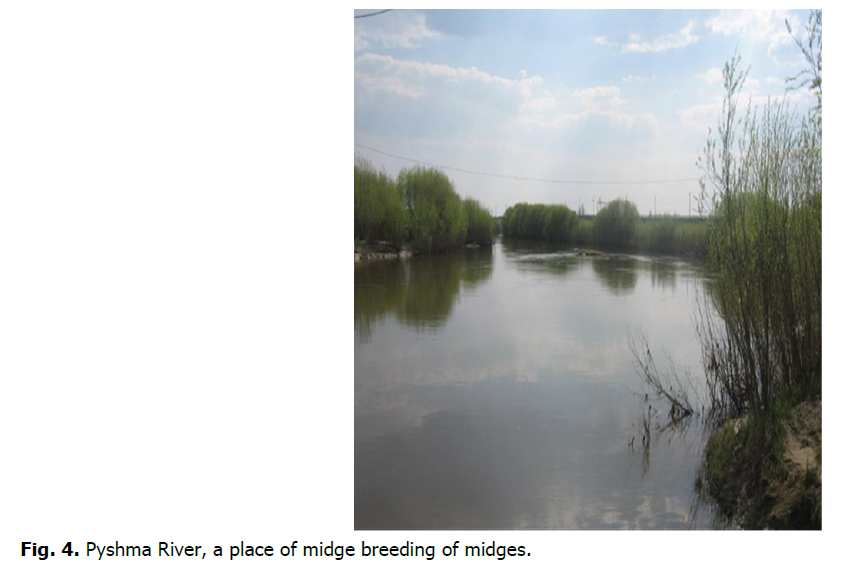 ukrainian-journal-ecology-pyshma-river