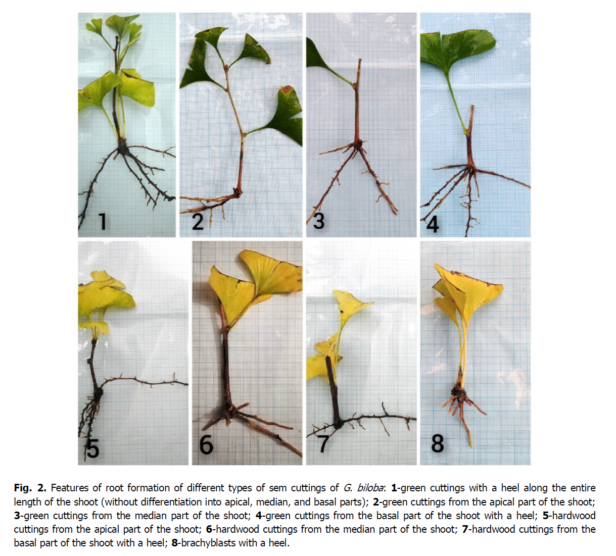 ukrainian-journal-ecology-sem