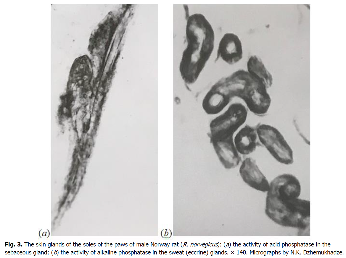 ukrainian-journal-ecology-skin-glands