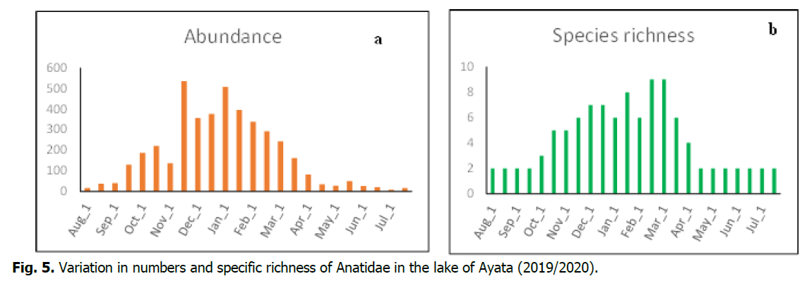 ukrainian-journal-ecology-specific-richness