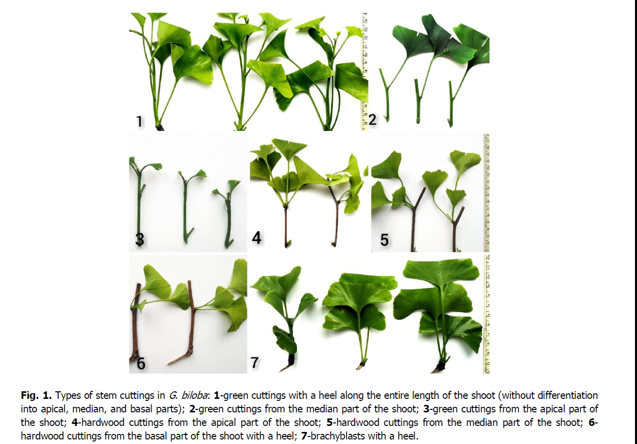 ukrainian-journal-ecology-stem