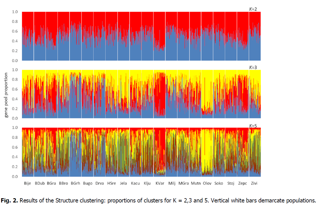 ukrainian-journal-ecology-structure-clustering