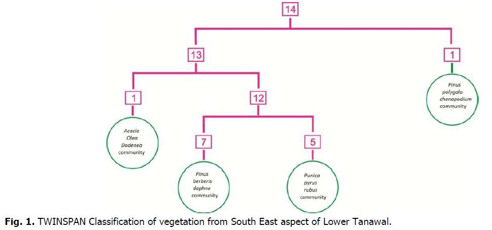 ukrainian-journal-ecology-vegetation