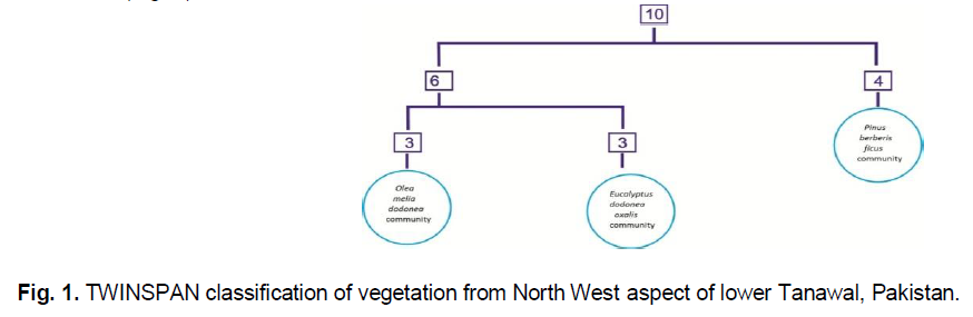 ukrainian-journal-ecology-vegetation