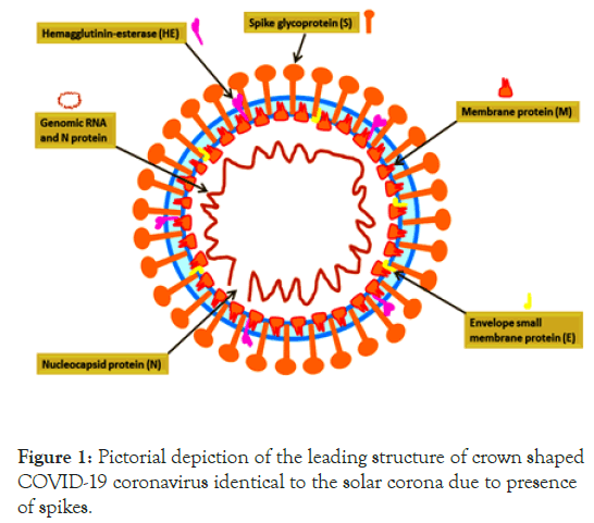 virology-mycology-depiction