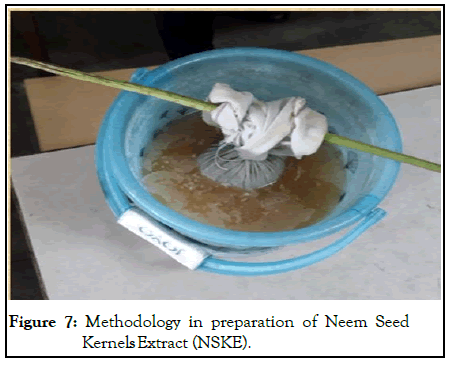 virology-mycology-methodology