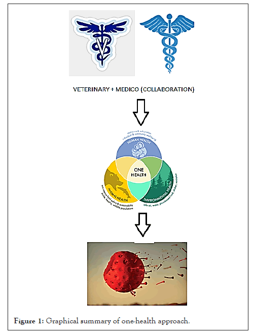 virology-mycology-summary