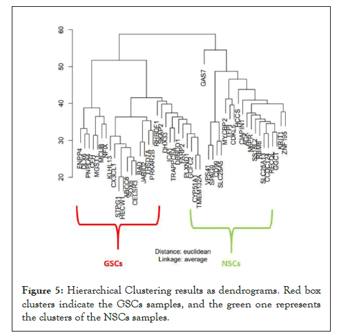 Clustering