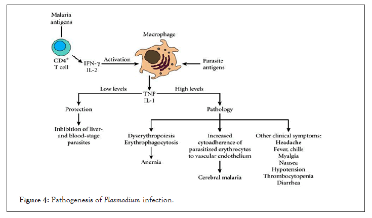 infections