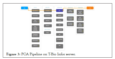 pipeline