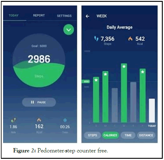 Pedometer