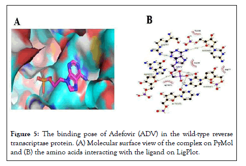 Antivirals-Antiretrovirals-ligand