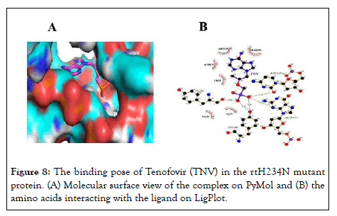 Antivirals-Antiretrovirals-ligand