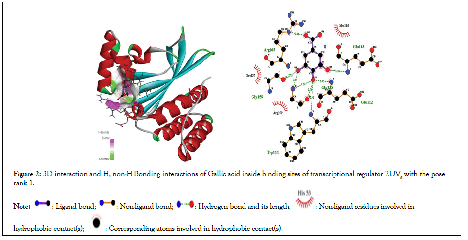 Applied-Microbiology-acid