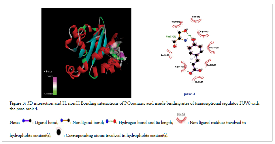 Applied-Microbiology-inside